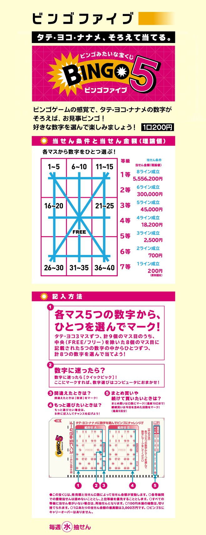 画像:ビンゴファイブ